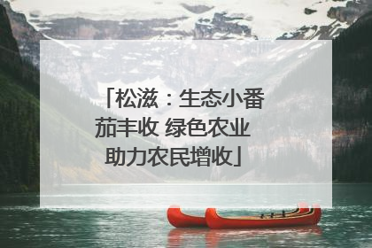 松滋：生态小番茄丰收 绿色农业助力农民增收