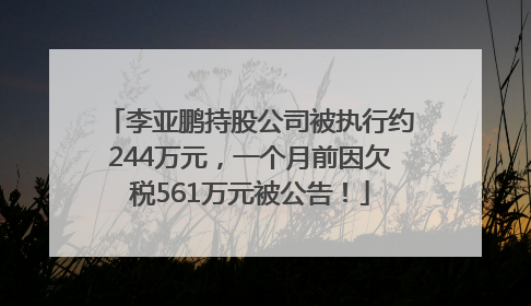 李亚鹏持股公司被执行约244万元，一个月前因欠税561万元被公告！