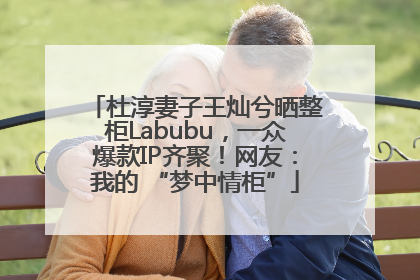杜淳妻子王灿兮晒整柜Labubu，一众爆款IP齐聚！网友：我的 “梦中情柜”