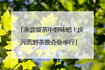 来尝尝茶中野味吧！庆元荒野茶推介会举行