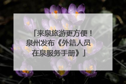 来泉旅游更方便！泉州发布《外籍人员在泉服务手册》