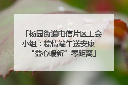 杨园街道电信片区工会小组：粽情端午送安康 “益心暖新”零距离