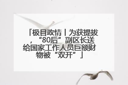 极目政情丨为获提拔，“80后”副区长送给国家工作人员巨额财物被“双开”