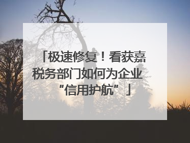 极速修复！看获嘉税务部门如何为企业“信用护航”