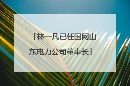 林一凡已任国网山东电力公司董事长