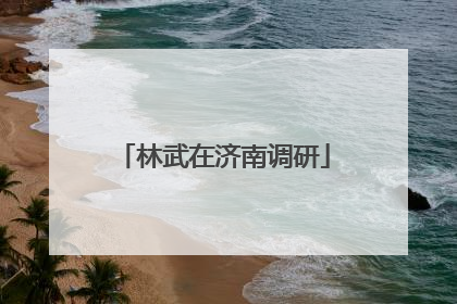 林武在济南调研