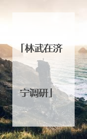 林武在济宁调研