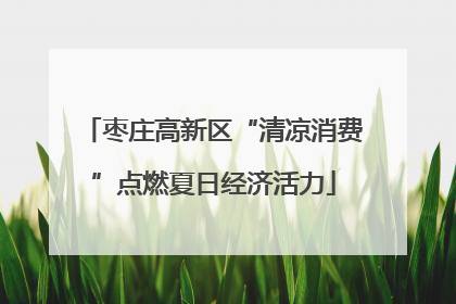 枣庄高新区“清凉消费”点燃夏日经济活力