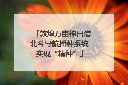 敦煌万亩棉田借北斗导航播种系统实现“精种”