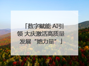 数字赋能 AI引领 大庆激活高质量发展“她力量”