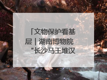 文物保护看基层｜湖南博物院“长沙马王堆汉墓陈列”展
