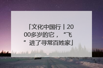 文化中国行丨2000多岁的它，“飞”进了寻常百姓家
