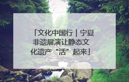 文化中国行｜宁夏 非遗展演让静态文化遗产“活”起来