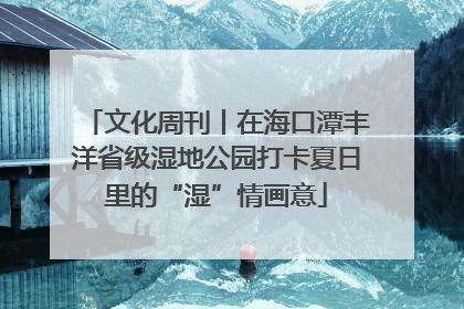 文化周刊丨在海口潭丰洋省级湿地公园打卡夏日里的“湿”情画意