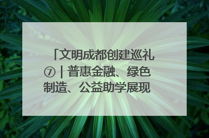 文明成都创建巡礼⑦｜普惠金融、绿色制造、公益助学展现城市文明底色