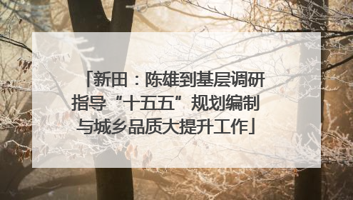 新田：陈雄到基层调研指导“十五五”规划编制与城乡品质大提升工作