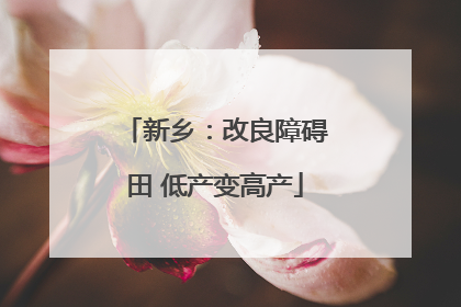 新乡：改良障碍田 低产变高产
