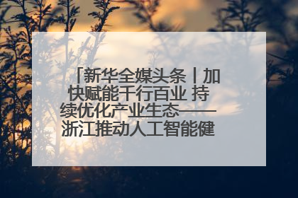 新华全媒头条丨加快赋能千行百业 持续优化产业生态——浙江推动人工智能健康有序发展观察