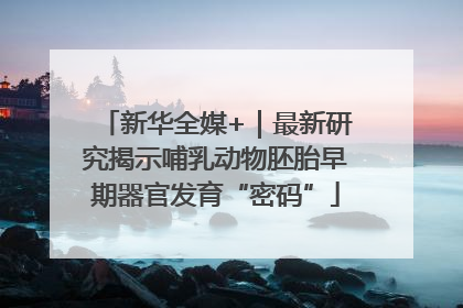 新华全媒+｜最新研究揭示哺乳动物胚胎早期器官发育“密码”