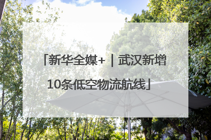 新华全媒+｜武汉新增10条低空物流航线