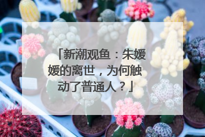 新潮观鱼：朱媛媛的离世，为何触动了普通人？