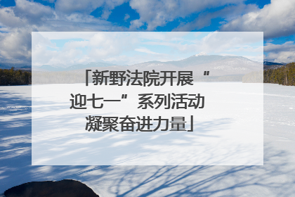 新野法院开展“迎七一”系列活动 凝聚奋进力量