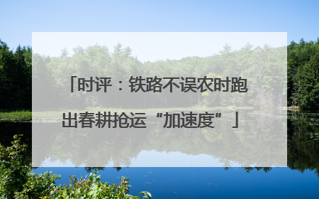 时评：铁路不误农时跑出春耕抢运“加速度”