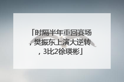 时隔半年重回赛场，樊振东上演大逆转，3比2徐瑛彬