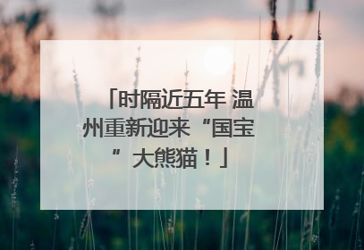 时隔近五年 温州重新迎来“国宝”大熊猫！