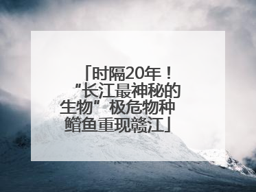时隔20年！“长江最神秘的生物”极危物种鳤鱼重现赣江