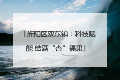 旌阳区双东镇：科技赋能 结满“杏”福果