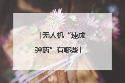 无人机“速成弹药”有哪些