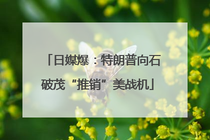日媒爆：特朗普向石破茂“推销”美战机