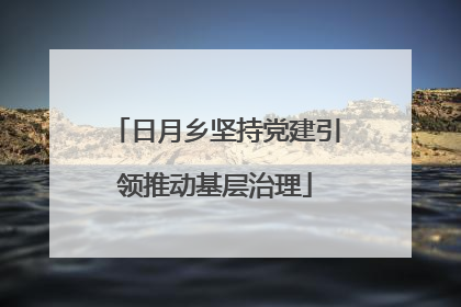 日月乡坚持党建引领推动基层治理