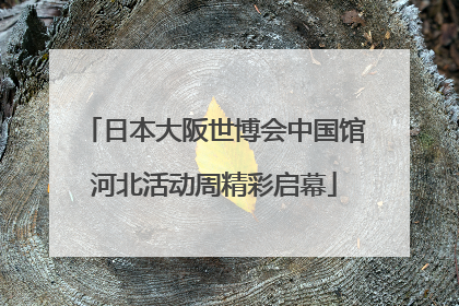 日本大阪世博会中国馆河北活动周精彩启幕