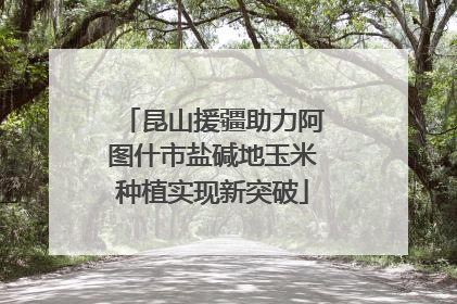 昆山援疆助力阿图什市盐碱地玉米种植实现新突破