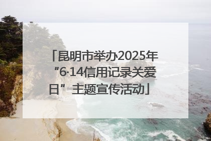 昆明市举办2025年“6·14信用记录关爱日”主题宣传活动
