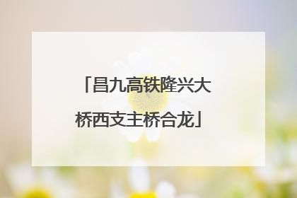 昌九高铁隆兴大桥西支主桥合龙