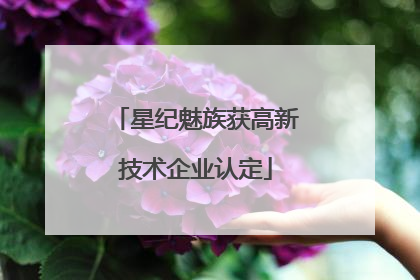 星纪魅族获高新技术企业认定