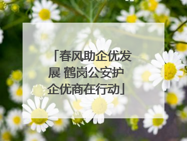 春风助企优发展 鹤岗公安护企优商在行动