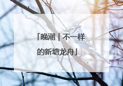 晚潮｜不一样的新塘龙舟