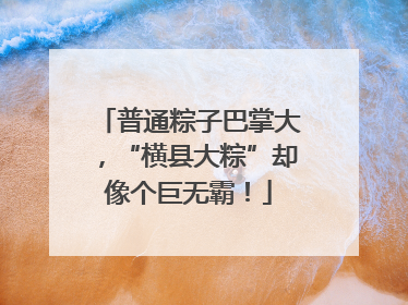 普通粽子巴掌大，“横县大粽”却像个巨无霸！