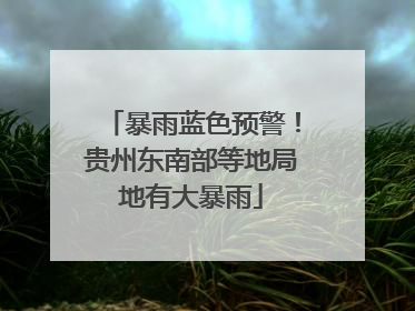 暴雨蓝色预警！贵州东南部等地局地有大暴雨