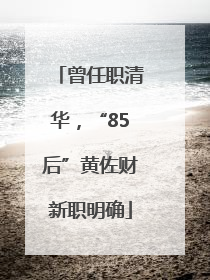 曾任职清华，“85后”黄佐财新职明确