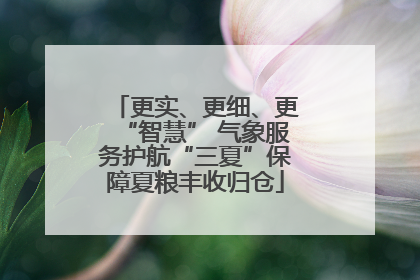 更实、更细、更“智慧” 气象服务护航“三夏”保障夏粮丰收归仓