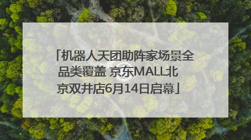 机器人天团助阵家场景全品类覆盖 京东MALL北京双井店6月14日启幕