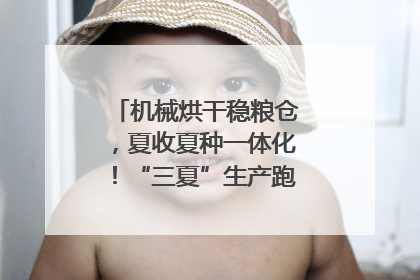 机械烘干稳粮仓，夏收夏种一体化！“三夏”生产跑出加速度｜麦报