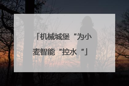 机械城堡“为小麦智能“控水“