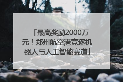 最高奖励2000万元！郑州航空港竞逐机器人与人工智能赛道