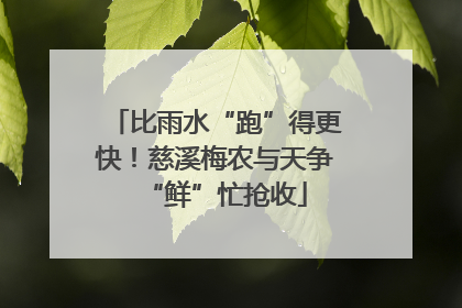 比雨水“跑”得更快！慈溪梅农与天争“鲜”忙抢收